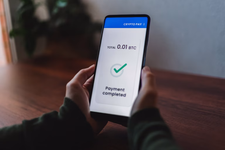 Hosting-Services weltweit anbieten mit einem zuverlässigen Crypto Payment Gateway