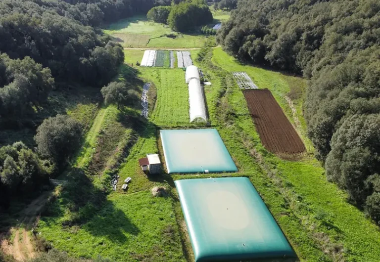 Regenwasserzisterne kaufen: Worauf Sie bei Größe, Material und Aufstellung achten sollten