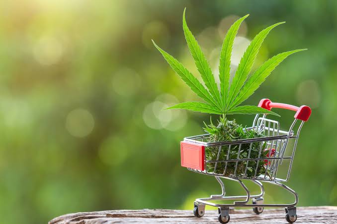 Cannabis Austria im Fokus Wissenswertes über Hanfprodukte und die österreichische Rechtslage